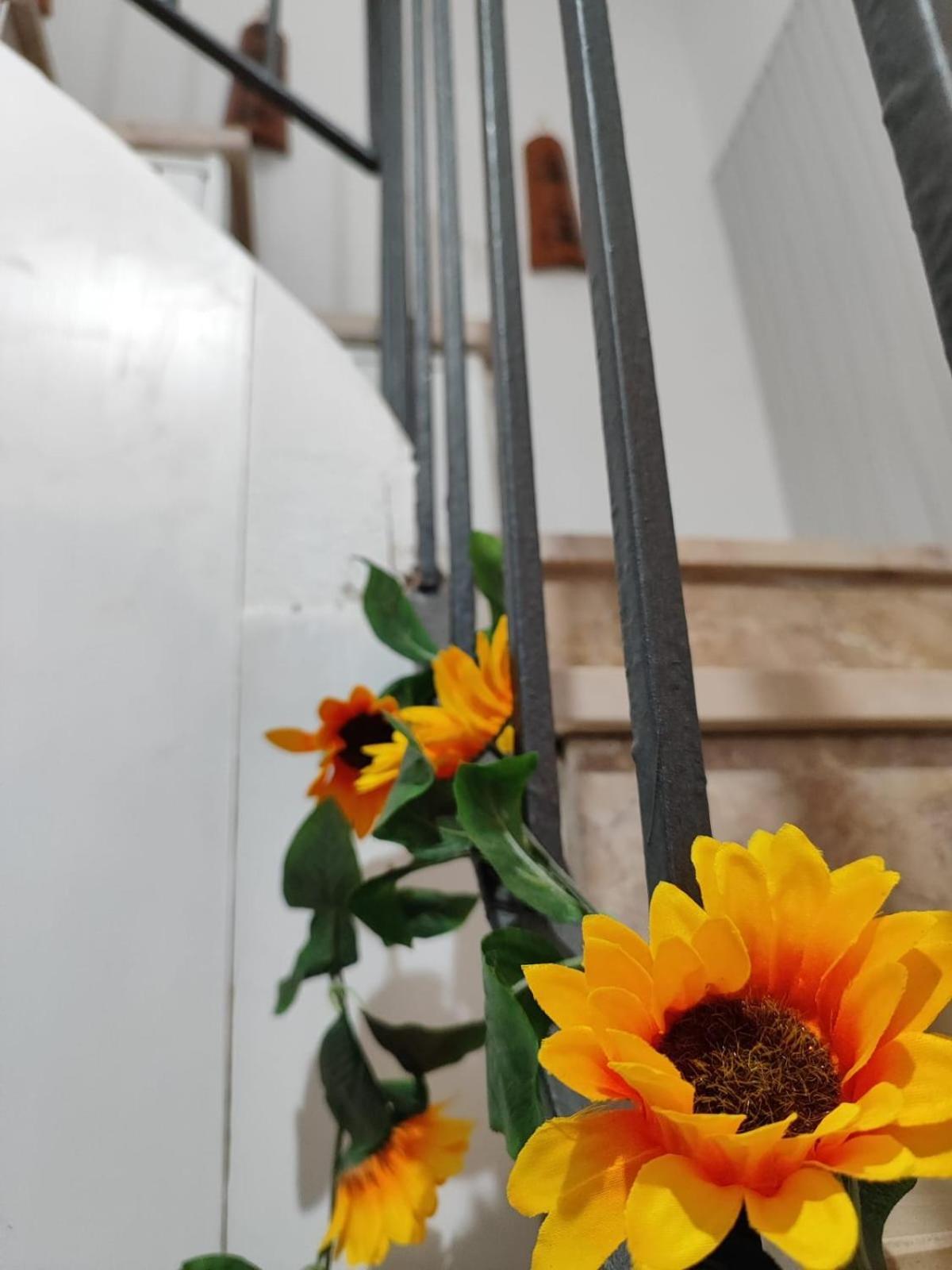 Casa Vacanze Con Giardino I Girasoli - Cin It 09006 - 9 C 2000 R4042- Sorso Kültér fotó